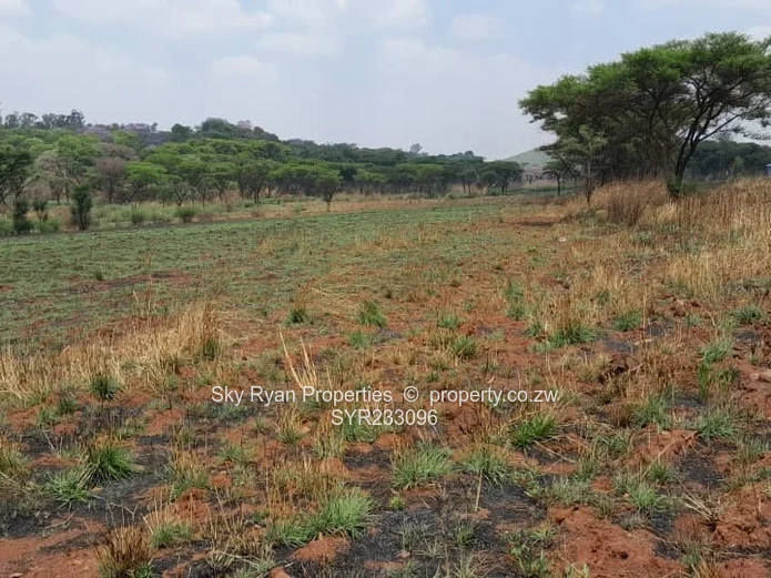 Arcturus Plot For Sale