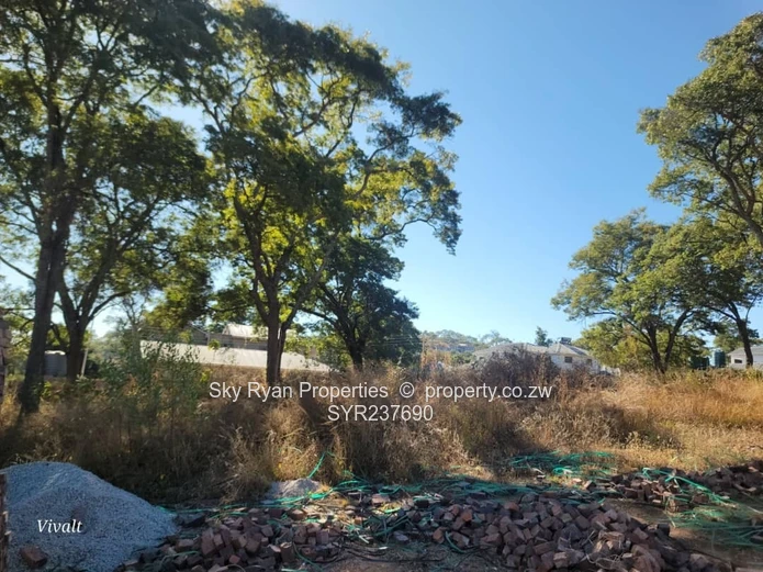 Borrowdale Carrick Creagh Stand For Sale