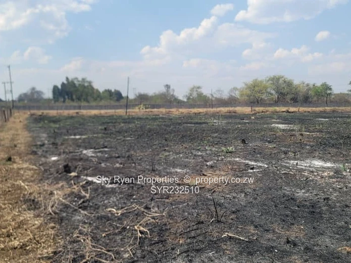 Daylesford, Gweru Stands For Sale