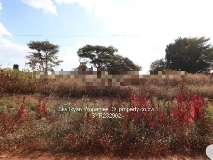 Borrowdale Luna Stand For Sale