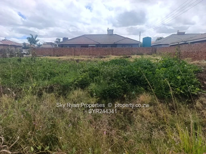 Madokero Tynwald North Stand For Sale 