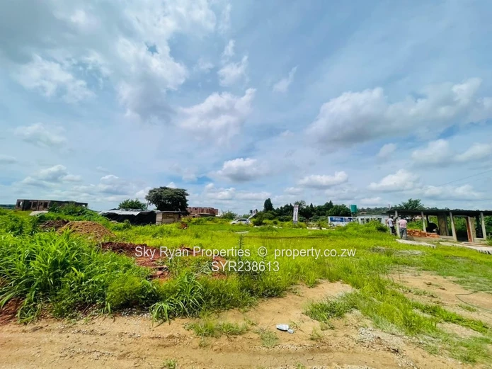 Pleasant Valley Stands For Sale