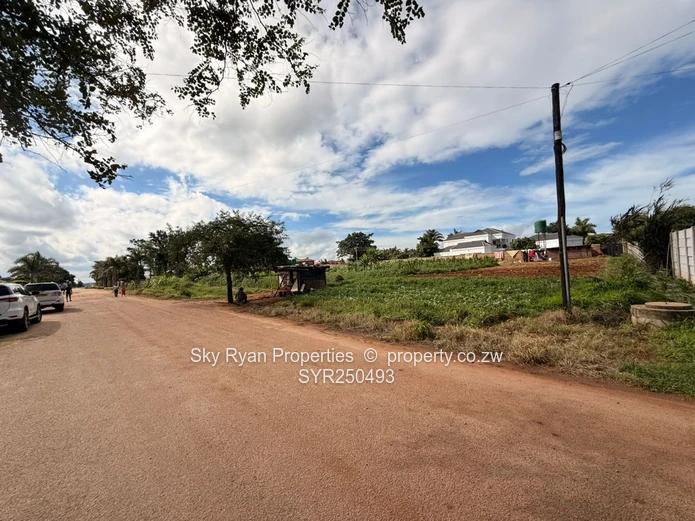 Westgate Stands For Sale- Choice Of 3 