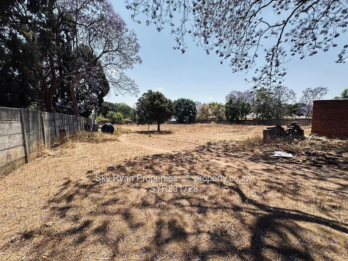 Borrowdale Stand For Sale