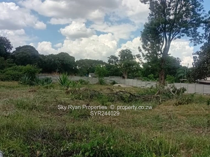 Hatfield Stand For Sale