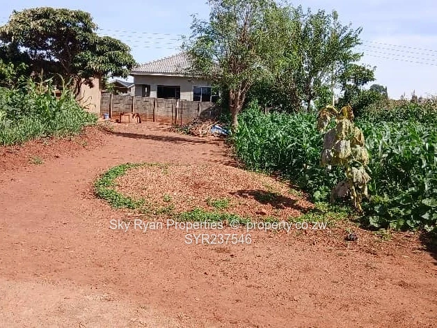 Cold Comfort Stand For Sale 