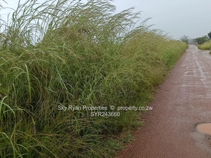 Mt Pleasant Heights Stand  For Sale