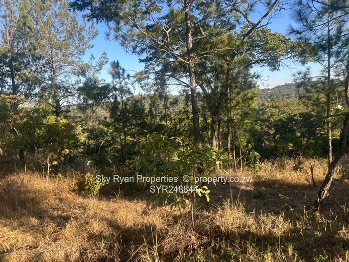 Glen Lorne, Folyjon Crescent Stand For Sale