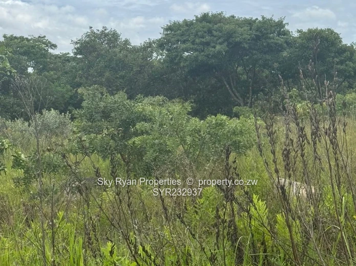 Ruwa Virgin Land For Sale