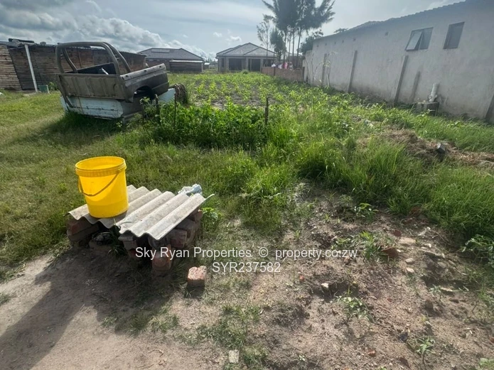 Msasa Park Chardcombe for sale 