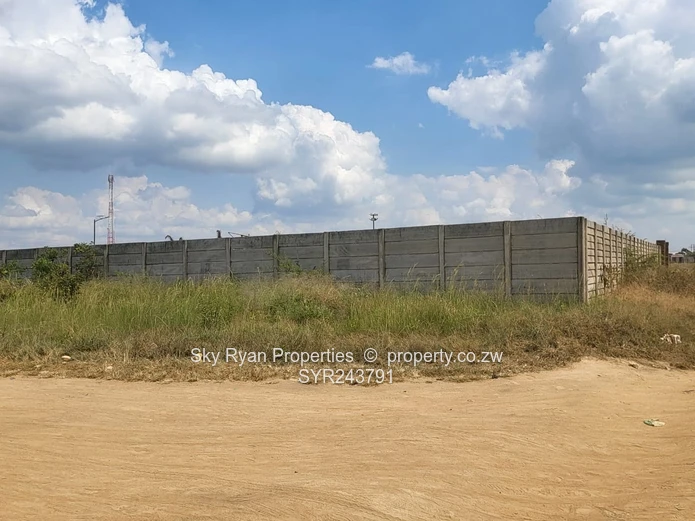 Whitehouse Commercial Stand For Sale