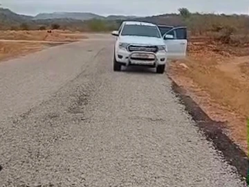 Land