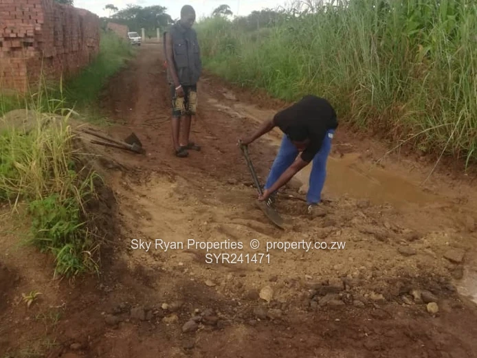 Crowhill Cleverhills Jakaranda Gated Stand For Sale