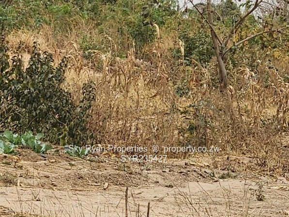 Glaudina Land For Development For Sale