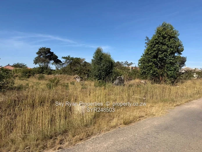 Arlington Estate Stand For Sale