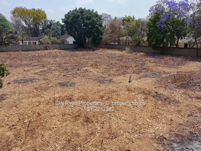 Borrowdale Stand For Sale