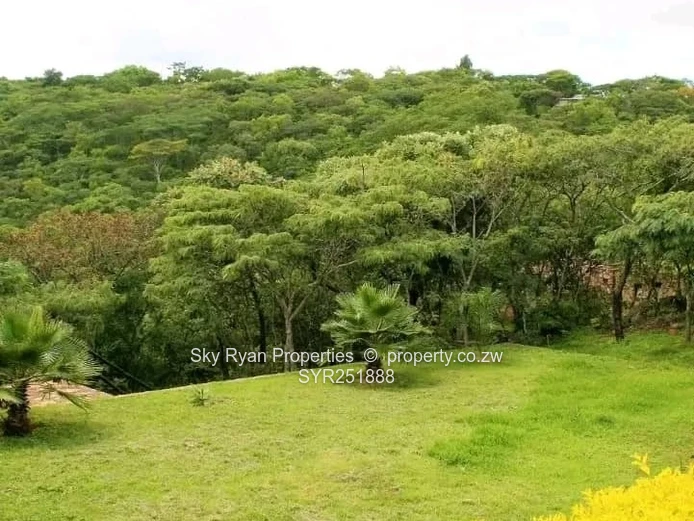 Christon Bank Property For Sale