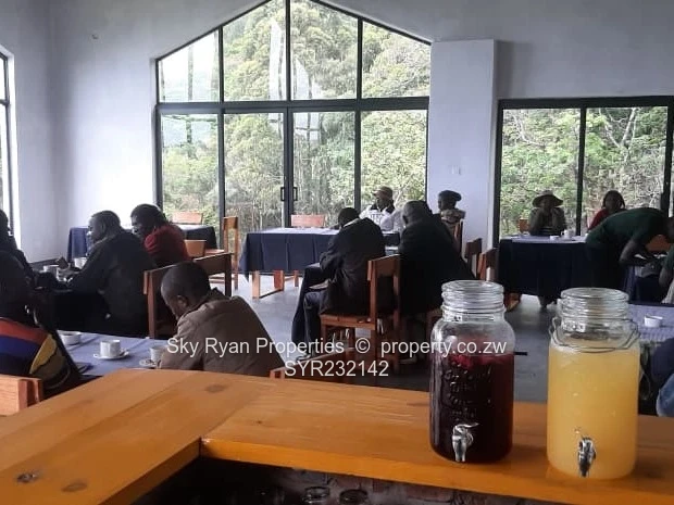 Investment opportunity in Vumba