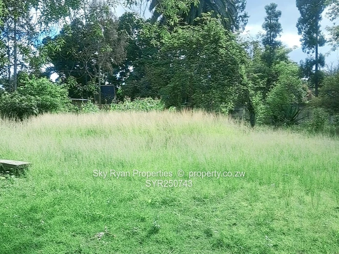 Greendale Athlone House For Sale