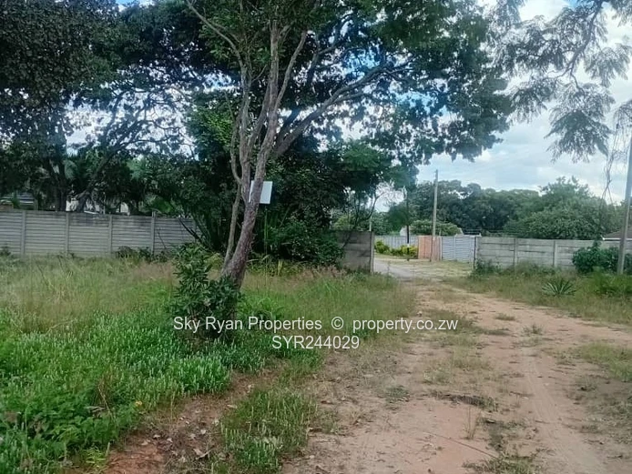 Hatfield Stand For Sale