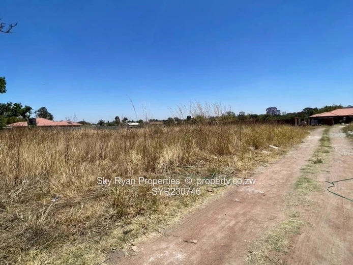 Hatfield Stand For Sale (Sole Mandate)