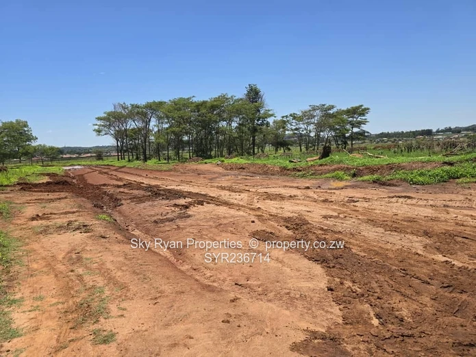 Tynwald Stands For Sale 