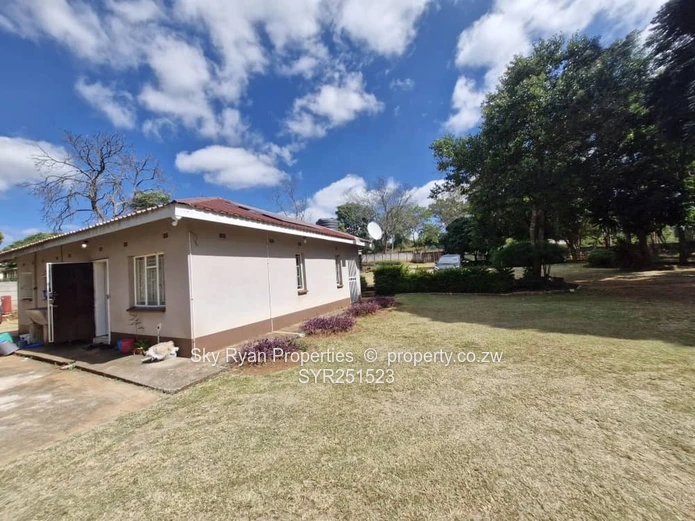 Greystone Park Stand For Sale