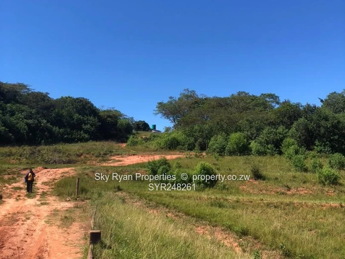 Chipinge Farms For Rent
