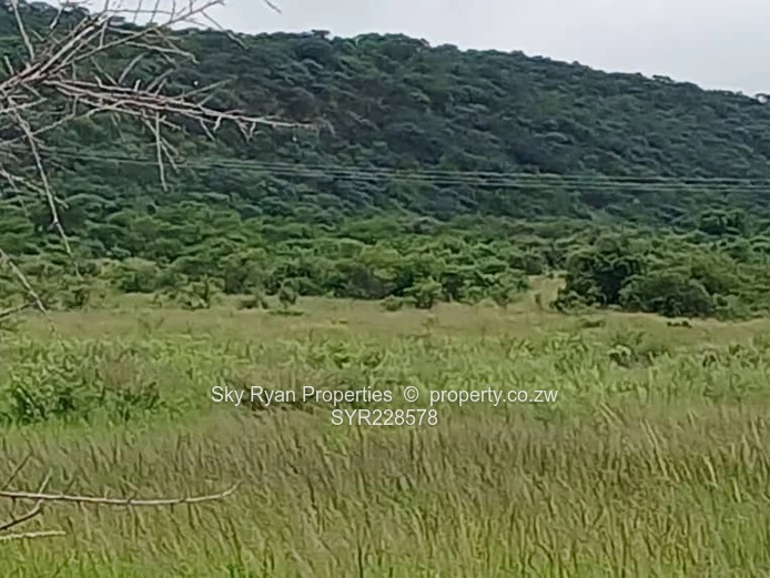 Chinhoyi Farm For Sale