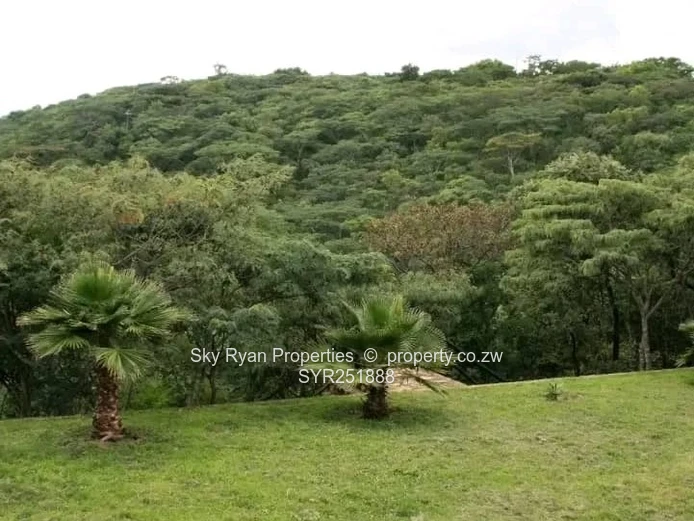 Christon Bank Property For Sale