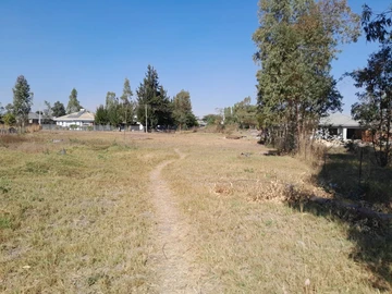 Stands & Residential Land