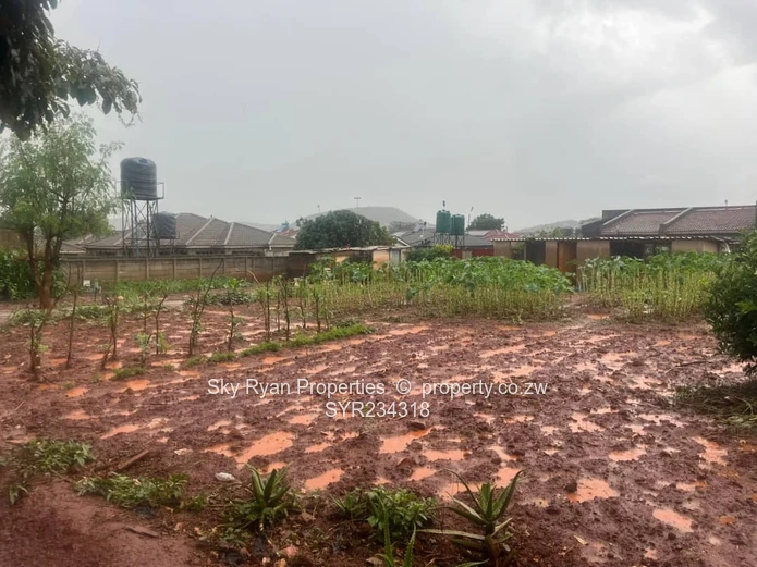 Cold Comfort Stand For Sale