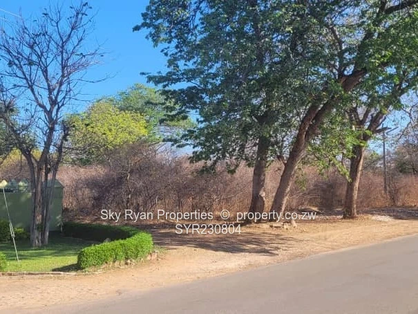 Victoria Falls Commercial Stands For Sale