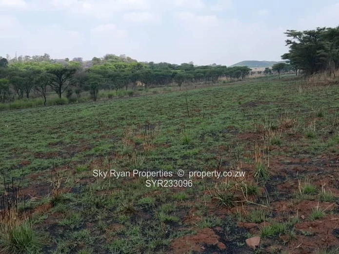 Arcturus Plot For Sale