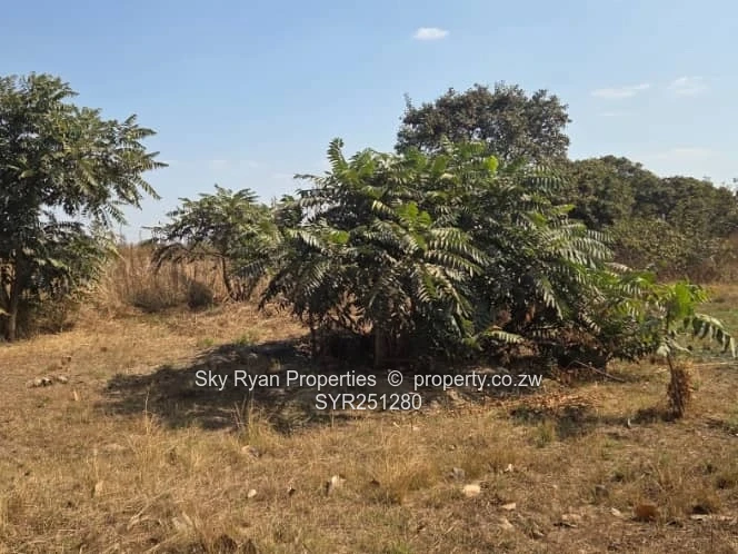Spitzkop Plot For Sale
