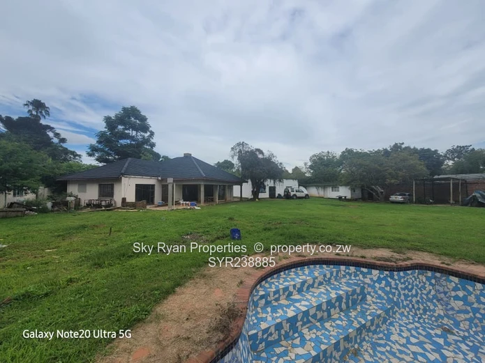 BORROWDALE  - SAM LEVY for sale 