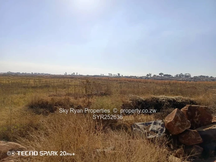 Nyeredzi Pomona Stand For Sale