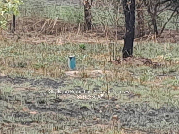 Arcturus Plot For Sale