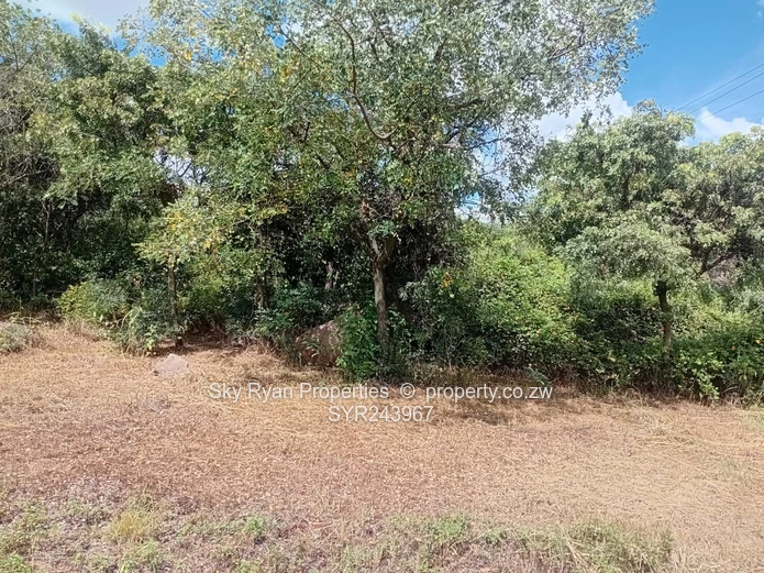 Marondera Stand For Sale