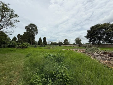 Helensvale Stand For Sale 