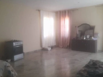 Farm & Agricultural Land