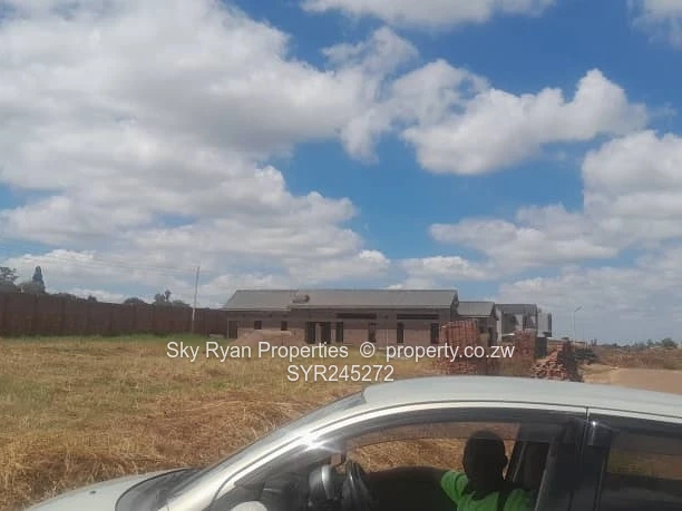 Pomona Nyeredzi Ridge Stand For Sale 