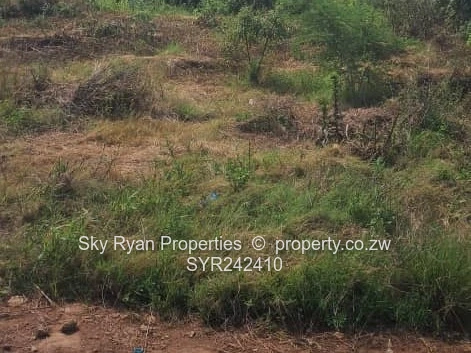 Tynwald North, Starmfold Stand For Sale