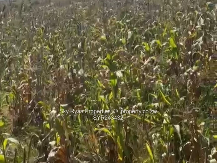 Masasa Cleveland Industrial Stand For Sale