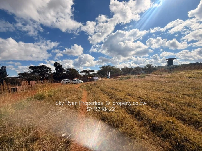 Glen Lorne  Stand For Sale