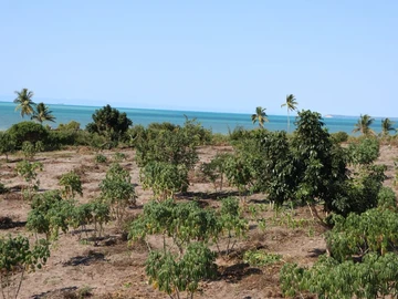 Commercial & Industrial Land