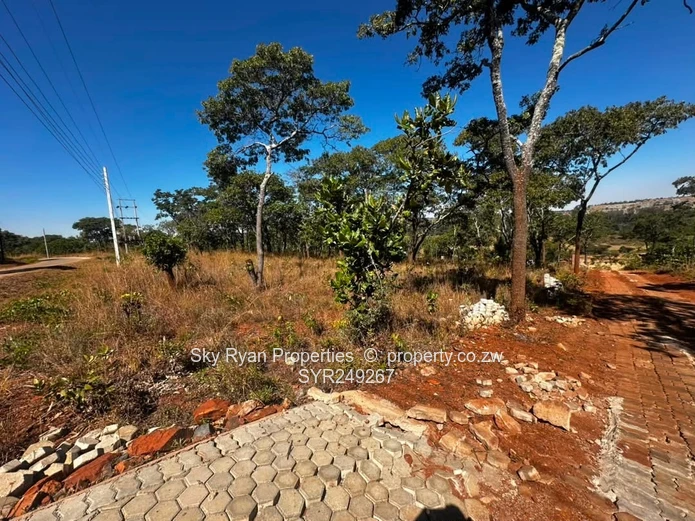 Shawasha Hills Stand For Sale