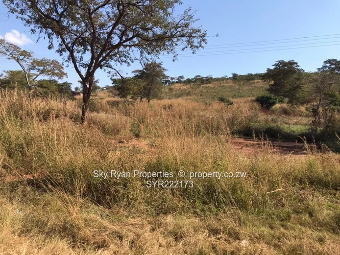 Arcturus plot for sale!*