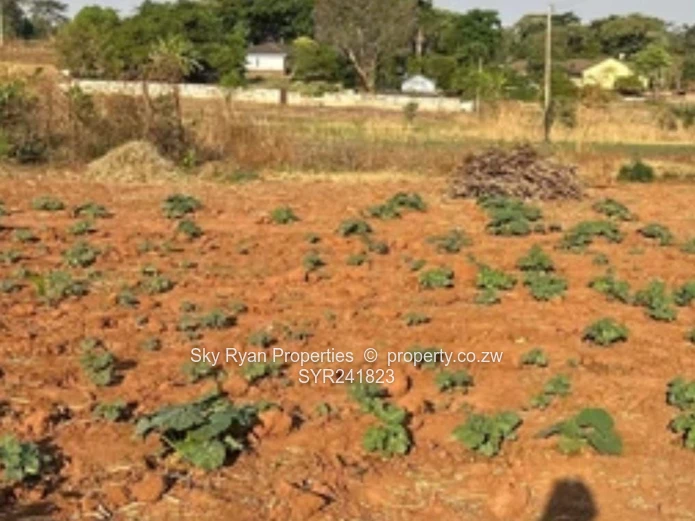 Chinhoyi Orange Groove Property For Sale