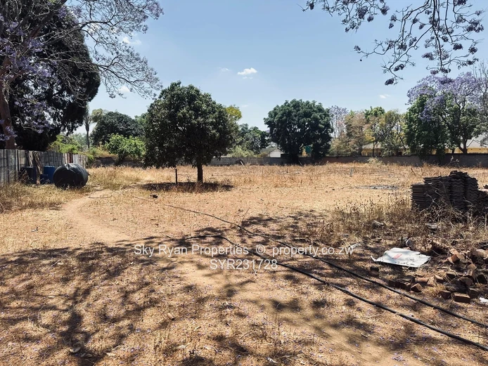 Borrowdale Stand For Sale